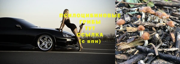 прущий лед Армянск