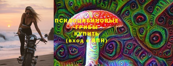 шишки Алексеевка
