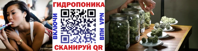 MEGA рабочий сайт  цена наркотик  Астрахань  Канабис сатива 